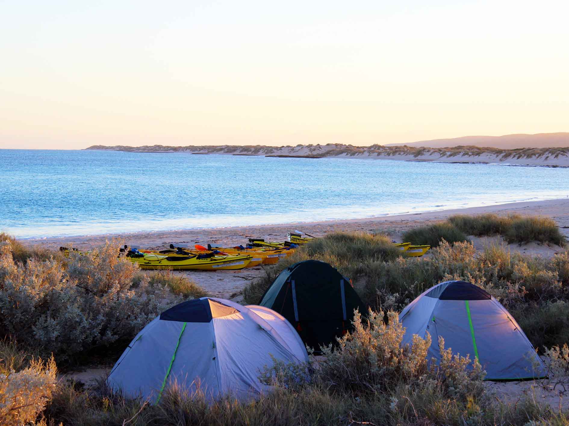 Tents nestled amongst the sand dunes, with kayaks and Ningaloo Reef in the background, as the sun sets