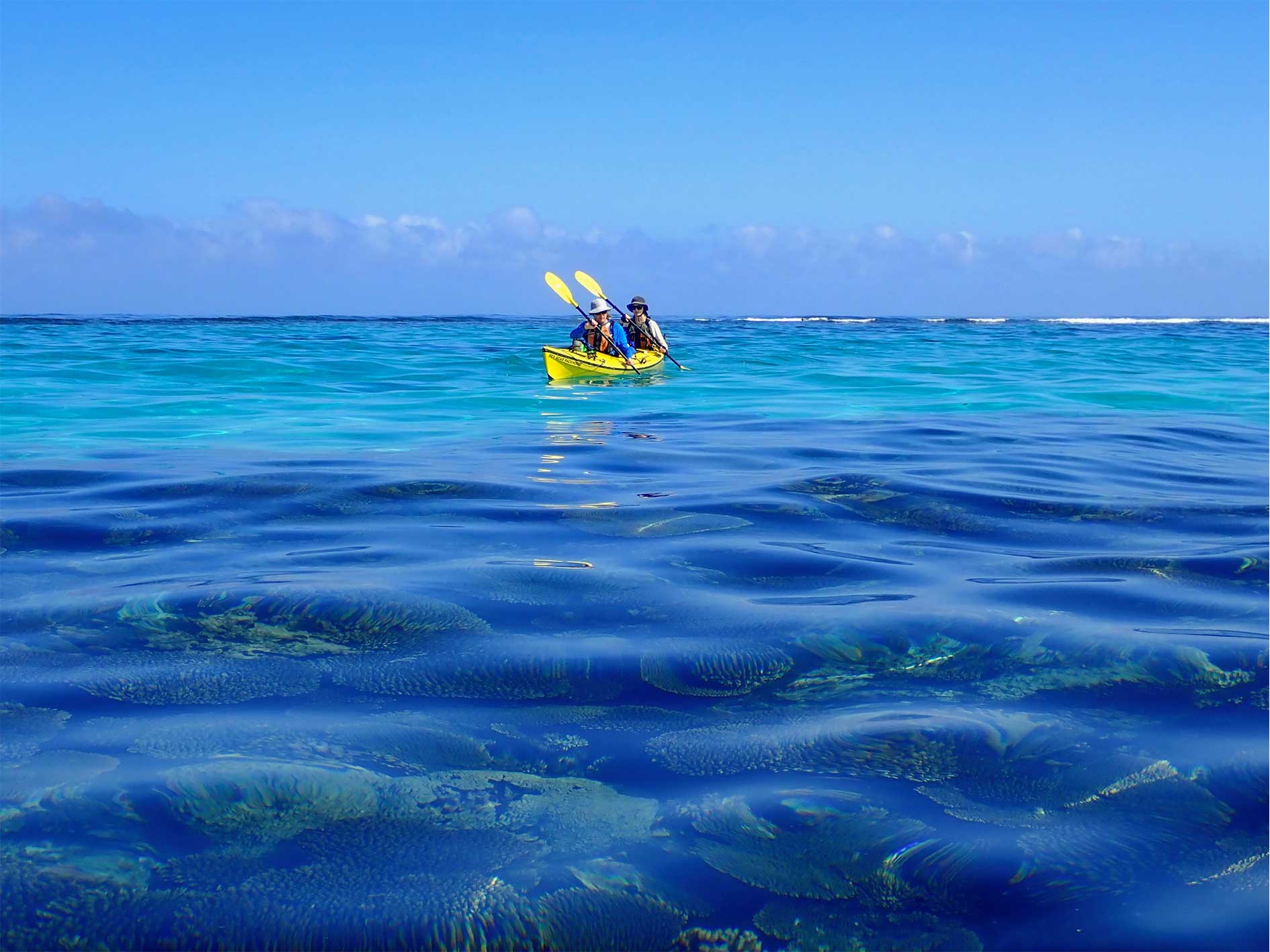 2 people sea kayaking in glassy waters over corals