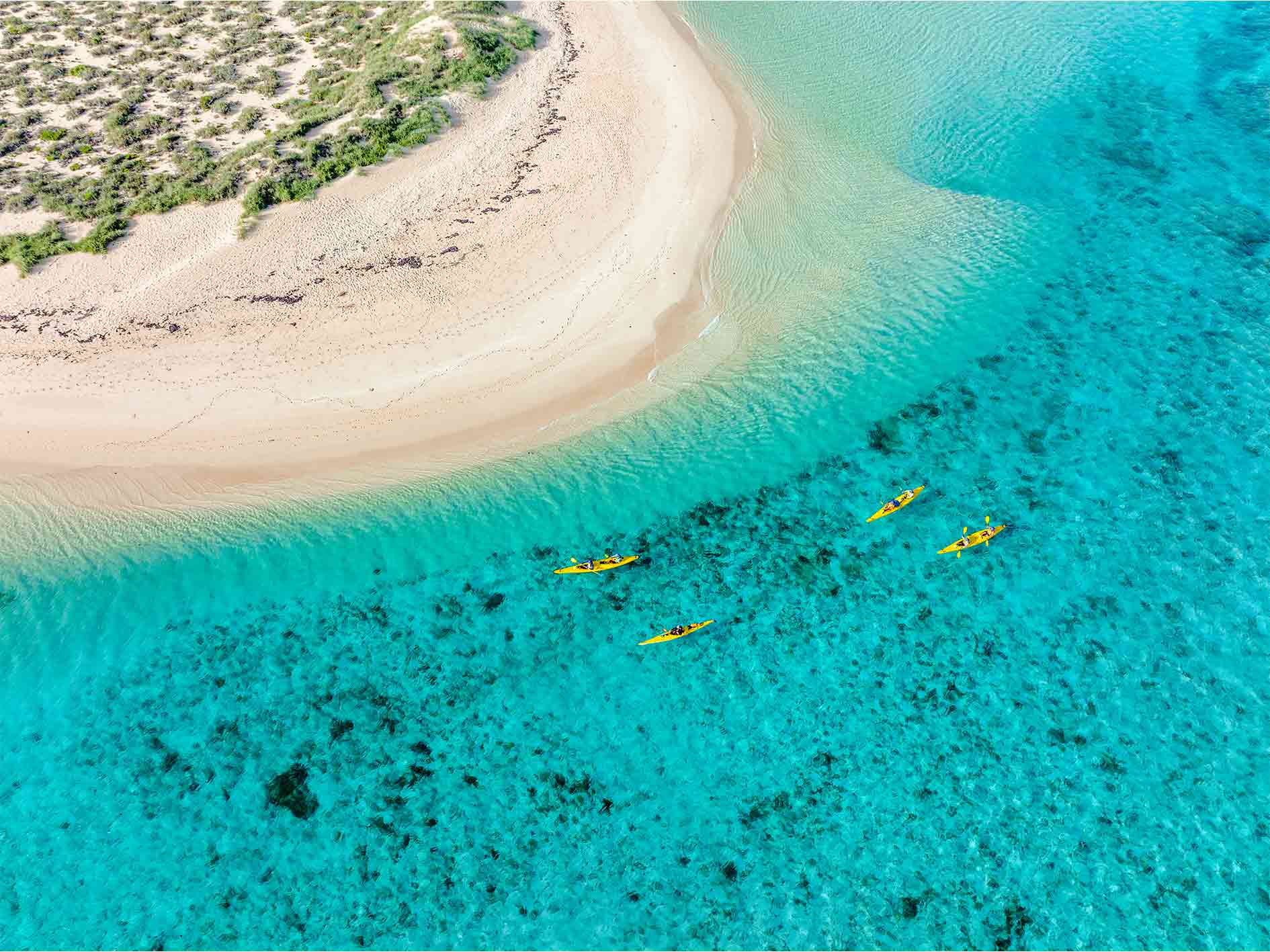 Aerial view of kayakers in a beautiful bay with turquoise water